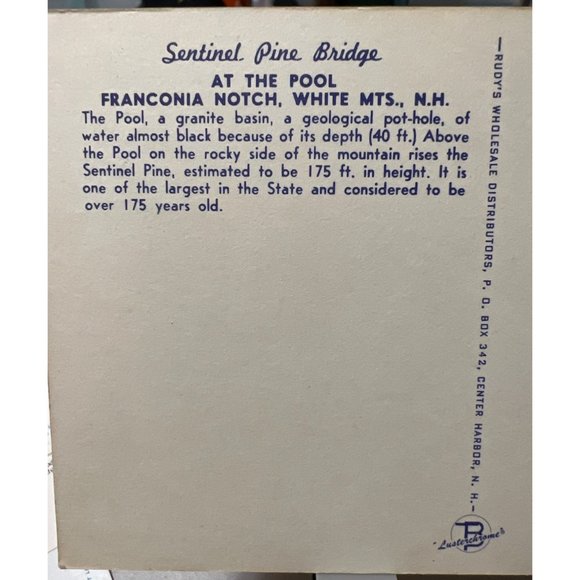 Sentinel Pine Bridge Postcard White Mountains New Hampshire The Pool Vintage - Picture 3 of 4